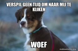 Unsure Dog
