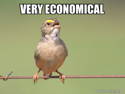 Common Opinion Sparrow