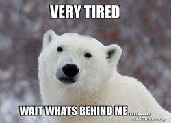 Popular Opinion Polar Bear