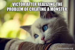 First World Cat Problems