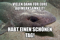 Dirty Joke Dogfish