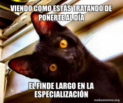 Overly Attached Cat