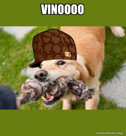 Scumbag dog