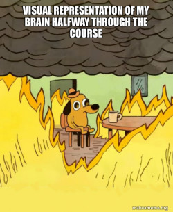 This Is Fine