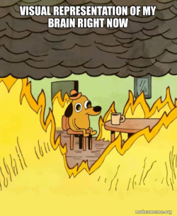 This Is Fine