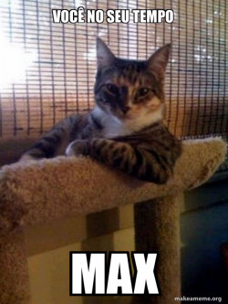 The Most Interesting Cat in the World