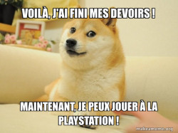 Doge