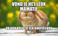 Regretful Rabbit