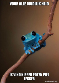 Small Fact Frog