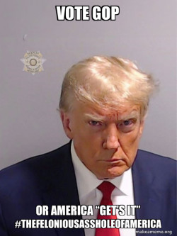 Donald Trump Mugshot