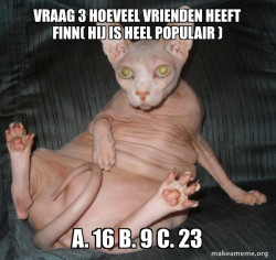 Hairless Cat