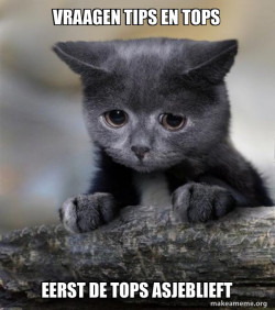 Confession Cat
