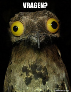 Weird Stuff I do Potoo