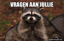 Evil Plotting Raccoon