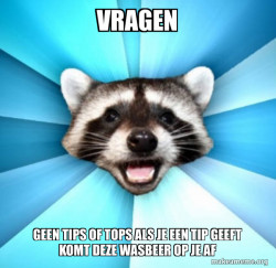 Lame Pun Coon