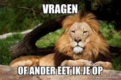 Contemplative Lion
