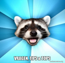 Lame Pun Coon
