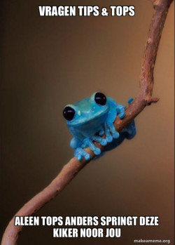Small Fact Frog
