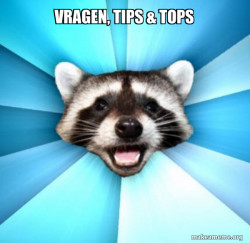 Lame Pun Coon