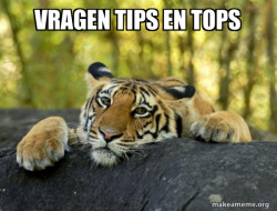 Confession Tiger