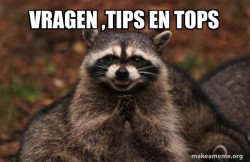 Evil Plotting Raccoon