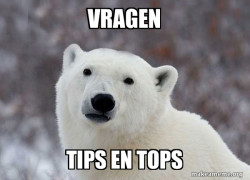 Popular Opinion Polar Bear