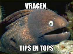 Bad Joke Eel