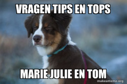 Unsure Dog