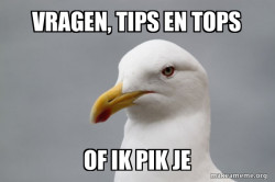 Stuff That Didn't Happen Seagull