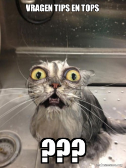 Cat bath