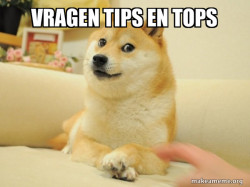 Doge