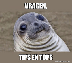Squeamish Seal