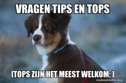 Unsure Dog