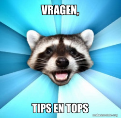 Lame Pun Coon
