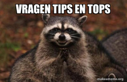 Evil Plotting Raccoon