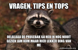 Evil Plotting Raccoon