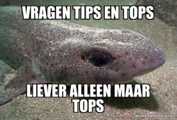 Dirty Joke Dogfish