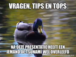 Zen Advice Mallard