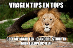 Contemplative Lion
