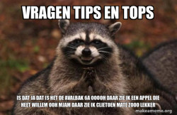 Evil Plotting Raccoon