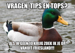 Actual Advice Mallard