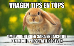Regretful Rabbit