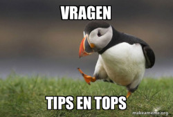 Unpopular Opinion Puffin