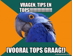 Paranoid Parrot