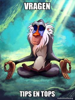 Rafiki Meditating - Lion King
