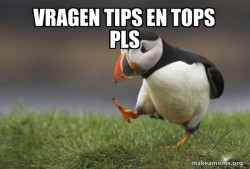 Unpopular Opinion Puffin