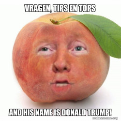 Impeached Donald Trump