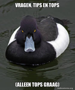Revenge Duck ( Angry Advice Duck )