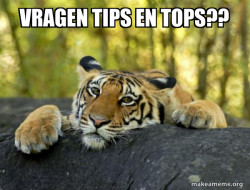 Confession Tiger