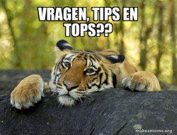 Confession Tiger